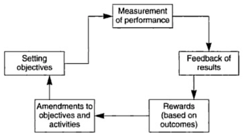 Modelos de gestión del desempeño según objetivos de cada empresa