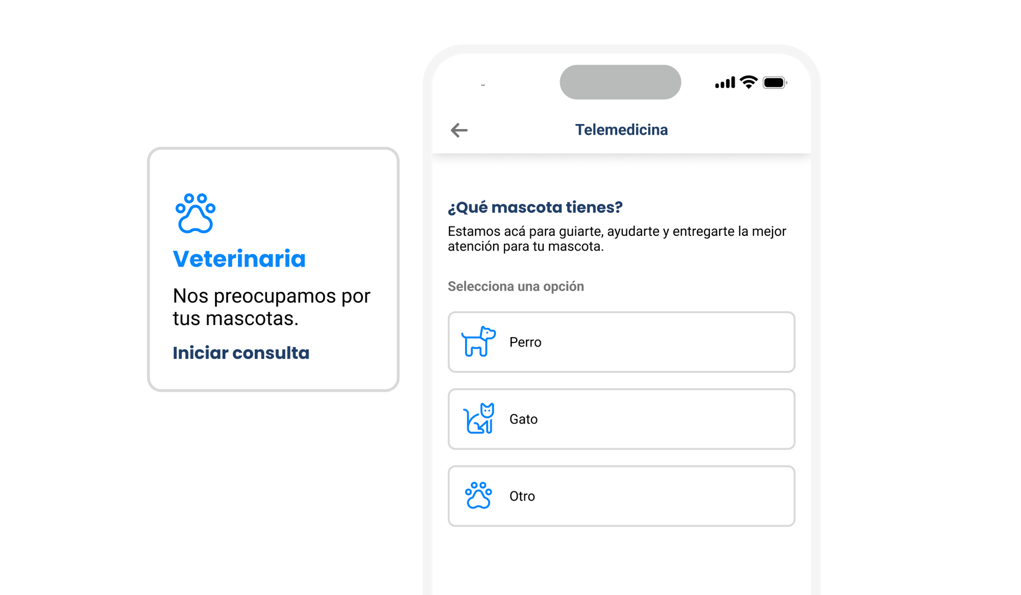 Múltiples especialidades disponibles