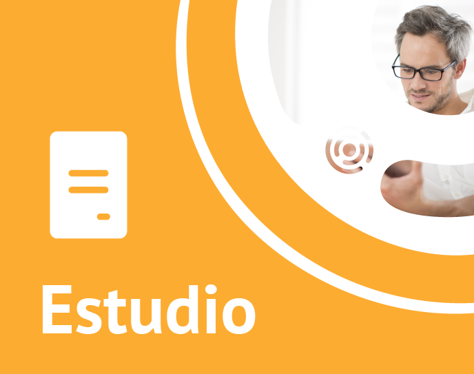 Estudios web-14