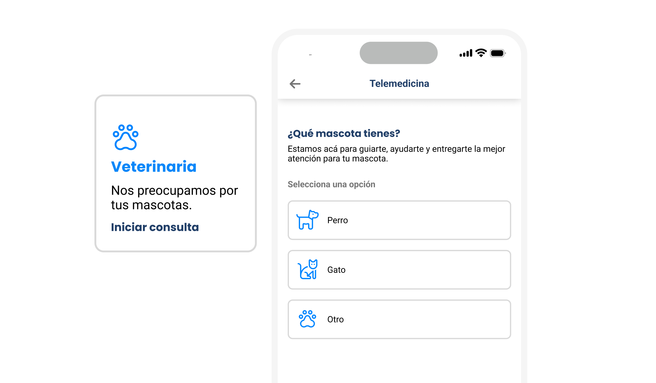 Múltiples especialidades disponibles